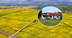 Từ bây giờ, cố tình xây nhà trên đất nông nghiệp sẽ bị phạt đến 500 triệu đồng
