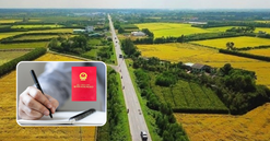 Từ bây giờ, 4 trường hợp đất vi phạm này sẽ vẫn được cấp sổ đỏ