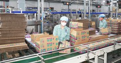 Tiếp tục gia hạn thuế và tiền thuê đất: Tạo đà thúc đẩy tăng trưởng kinh tế