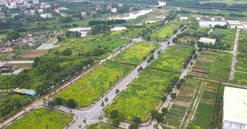 Hưng Yên: Khoảng 1.000 thửa đất sắp được đấu giá vào cuối tháng 3, giá khởi điểm chỉ 7 triệu đồng/m2
