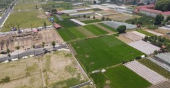 Chuyên gia cảnh báo chiêu trò 'thổi giá' đất ăn theo thông tin sáp nhập tỉnh, thành