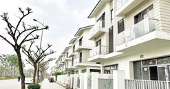 Thị trường Hà Nội: Biệt thự triệu đô cho thuê với giá “bèo”