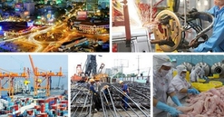 Thành lập Hội đồng Tư vấn chính sách