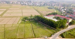 Hà Nội: Sắp đấu giá 680m2 đất xen kẹt tại huyện Phúc Thọ