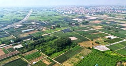 Đất đấu giá tỉnh vùng ven có giá trúng cao hơn các huyện ở Hà Nội, vì sao?