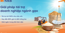 SHB ra mắt giải pháp tài trợ linh hoạt cho ngành gạo, đồng hành cùng Chính phủ phát triển nông nghiệp bền vững