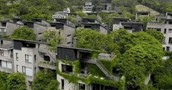 Ngôi làng 8.000m2 với 24 căn biệt thự: 10 năm qua chưa từng có trộm cắp, là không gian sống của người giàu có, học thức cao