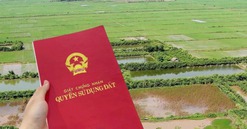Từ bây giờ, có trường hợp sẽ được miễn thuế và lệ phí khi chuyển đổi đất nông nghiệp