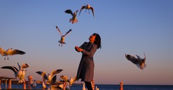 Photo Travel: Ngắm hải âu tung cánh rợp trời xứ Kangaroo