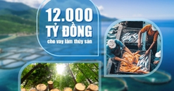 VietinBank nâng quy mô gói tín dụng, đẩy mạnh đầu tư lĩnh vực lâm, thủy sản