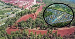 Số phận long đong của rừng thông hàng nghìn cây trong dự án sân golf giữa đại ngàn của chủ đầu tư lừng lẫy một thời