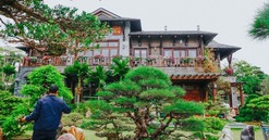 Lãnh đạo FPT sở hữu biệt thự rộng 3.000m2: Sân vườn là ‘rừng cổ thụ’ trăm tuổi cùng bộ sưu tập đá quý cực giá trị