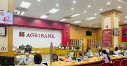 Vay 300 triệu trong 5 năm tại Agribank - mỗi tháng trả bao nhiêu tiền lãi?