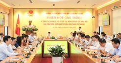 Hà Nội giải trình về quản lý, cải tạo, nâng cấp vườn hoa, công viên