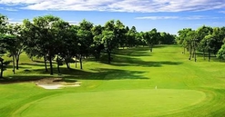 'Vựa lúa miền Bắc' tìm nhà đầu tư cho sân golf 67ha hơn 1.200 tỷ đồng