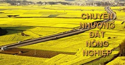 Theo Luật mới nhất, điều kiện chuyển nhượng đất nông nghiệp có sự thay đổi lớn