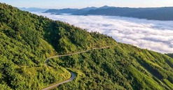 Cao tốc hơn 43.000 tỷ kết nối rừng - biển dự kiến thay đổi kế hoạch xây dựng