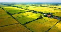 5 trường hợp chuyển mục đích sử dụng đất không cần xin phép theo luật mới nhất