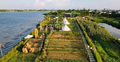 Nông trại giáo dục bị phạt vì lấn đất công ích, chính quyền cảnh báo thu hồi đất