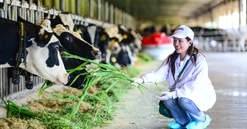 Trang trại Vinamilk Green Farm dưới lăng kính phát triển bền vững có gì đặc biệt?