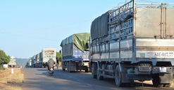 Tỉnh lớn thứ 2 Việt Nam đề xuất nâng cấp loạt quốc lộ và đường tỉnh kết nối cao tốc