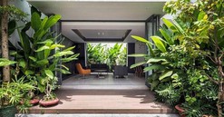 Những loại cây nên trồng trước nhà để cải thiện phong thủy