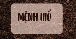 Người mệnh Thổ sinh năm bao nhiêu và cách hút tài lộc cho người mệnh Thổ