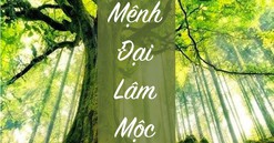 Đại Lâm Mộc là gì? Điểm đặc biệt của mệnh này trong phong thủy, tử vi