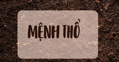 Mệnh Thổ kỵ màu gì - bí quyết dùng màu hợp phong thủy cho người mệnh Thổ