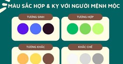 Sinh năm 2003 mệnh Mộc hợp màu gì? Bật mí màu sắc may mắn cho tuổi Quý Mùi