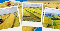 Vài giờ nữa, Chính phủ sẽ họp bàn nội dung quan trọng về lĩnh vực đất đai