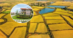 Từ nay, chuyển một phần đất nông nghiệp thành đất ở cần đáp ứng điều kiện này