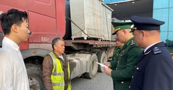 Quảng Ninh: Khoảng 20 triệu USD kim ngạch XNK qua Cửa khẩu Móng Cái