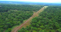 Doanh nghiệp liên quan FLC được chấp thuận đầu tư dự án sân golf hơn 1.000 tỷ tại tỉnh lớn thứ 2 Việt Nam