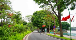 Đề xuất làm mới các tuyến phố trung tâm Hà Nội theo hướng xanh - cảnh quan