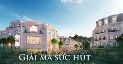 Giải mã sức hút của bất động sản thấp tầng Quy Nhơn