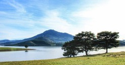 Khu du lịch gần 4.000ha do Tập đoàn TH đề xuất đầu tư tại Lâm Đồng nhận chỉ đạo mới