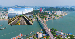 Sắp có hầm xuyên vịnh 10.000 tỷ: Là công trình thế kỷ tại TP tương lai của Việt Nam, quy mô 6 làn xe, chịu được động đất