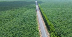 Sắp ‘lên đời’ tuyến đường hơn 80km đi xuyên vùng Đông Nam Bộ