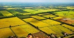 Từ bây giờ, sẽ có thay đổi lớn về đất đai và xây dựng