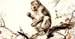 Tết Bính Ngọ gia chủ tuổi Thân nên tránh tuổi nào xông nhà?