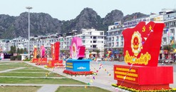 Bầu cử Quốc hội, HĐND: Gắn kết kiều bào với tiến trình phát triển đất nước