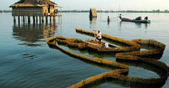 Việt Nam sẽ có khu du lịch sinh thái gần 2.000ha trải dài 4 xã tại khu vực đầm nước tự nhiên lớn nhất Đồng bằng sông Cửu Long