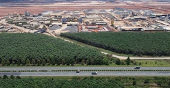 Tỉnh sắp lên thành phố trực thuộc Trung ương đẩy mạnh xây khu thương mại tự do, kết nối đến trung tâm tài chính quốc tế