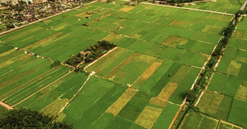 Người dân sẽ được nhận tối đa 500.000.000 đồng khi Nhà nước thu hồi đất: Loại đất gì, áp dụng từ bao giờ, đó là địa phương nào?