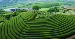 Việt Nam sắp có thêm khu du lịch quốc gia, quy mô hơn 200.000ha trải dài 12 xã phường tại tỉnh rộng nhất miền Bắc