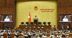 Dấu ấn Kỳ họp thứ Nhất, Quốc hội khóa XVI: Khởi đầu vững chắc, hành động ngay