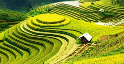 Việt Nam định vị một vùng kinh tế giữ vai trò kết nối Đông Nam Á với Trung Quốc, Trung Á và châu Âu