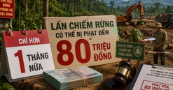 Từ 25/6, người dân sẽ bị phạt nặng nếu lấn, chiếm loại đất này