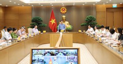 Quyết liệt hơn trong công tác quản lý vùng trồng, cơ sở đóng gói và kiểm nghiệm
